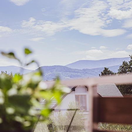 Apartament W Cieplicach Platinium Jelenia Góra Exteriör bild